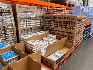 FDA Issues Highest-Level Recall for Kirkland Brand Eggs Over Salmonella Risk